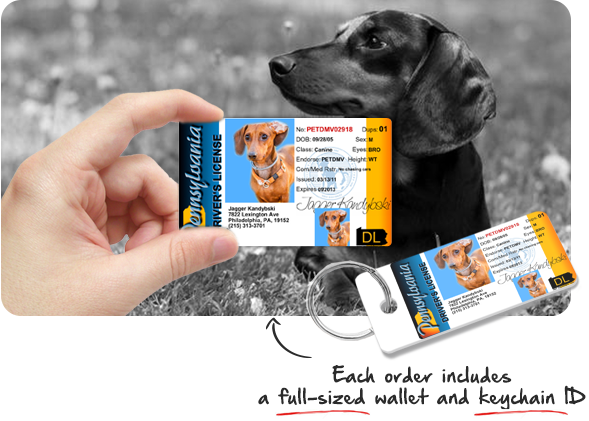 drivers license dog tag drivers license dog tag