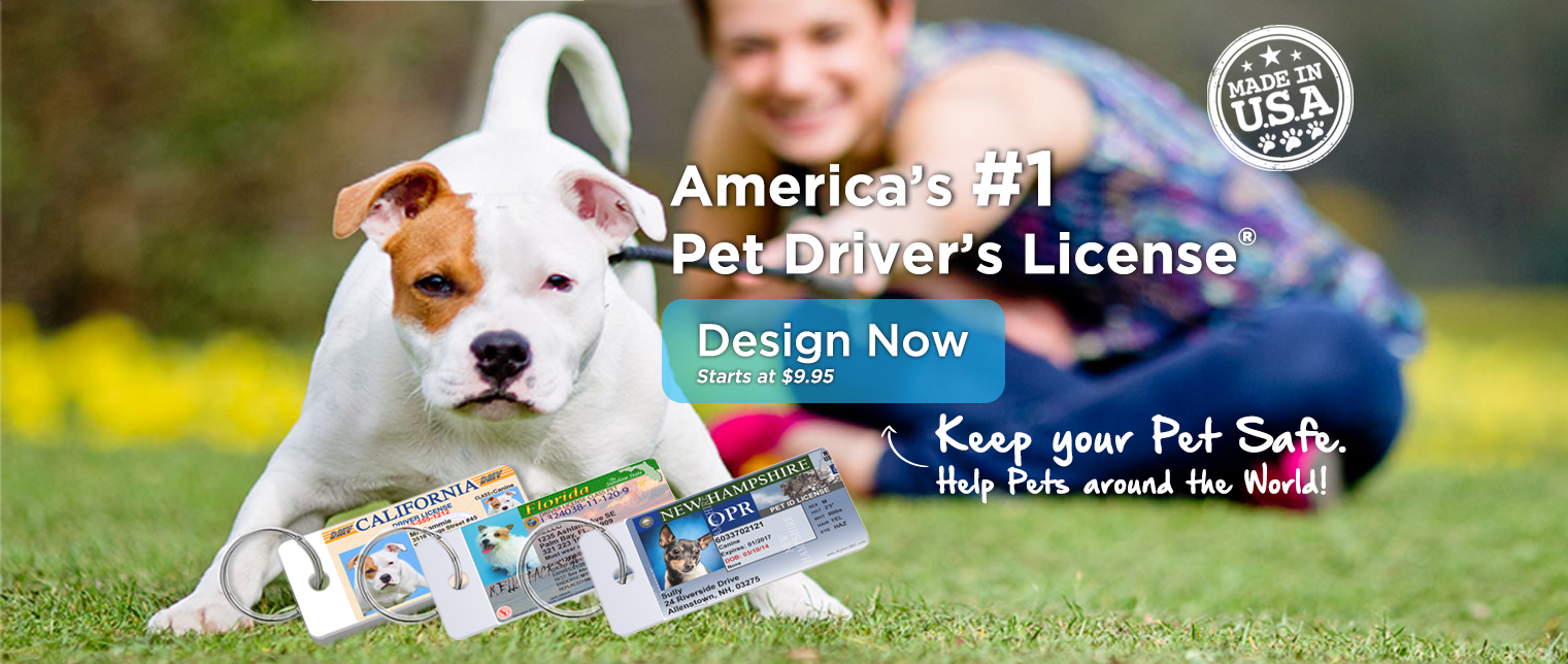 Design your Pet Driver's License