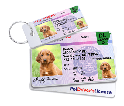 Pet driver's license id cheap